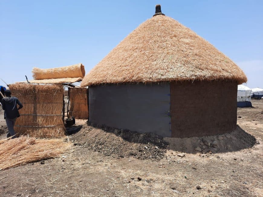 Newly built small homes in a community